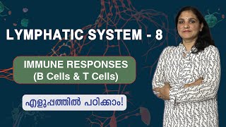 Lymphatic System  8  Immune Responses B cells and T cells  Malayalam [upl. by Anuska191]