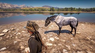 3 Nokota horse found in RDR2 amp Details [upl. by Morton]