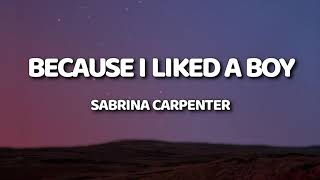 Sabrina Carpenter  because i liked a boy Lyrics im a homewrecker im a slut [upl. by Annaitat]