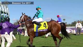 Stormy Liberal Wins Breeders Cup Turf Sprint Grade I Stakes Race 5 at Del Mar 110417 [upl. by Ahsenrat]