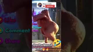 Bistarale Polyo New Teej Songcomedy funny video 💕🤣 [upl. by Henrion]