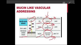 Mucin family of Cell adhesion moleculesMucin like vascular adressinCAMsGlyCAMMADCAM [upl. by Aztin]