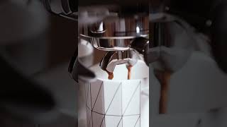 Sage Barsita Express Coffee Machine Extraction [upl. by Renckens]