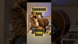 Tonewood Amp Demo tonewoodamp acoustic guitar [upl. by Aguste137]