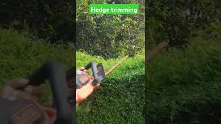 Trim your bio fence using machine and make beautiful garden biofence gardening viralvideosn [upl. by Sardella]