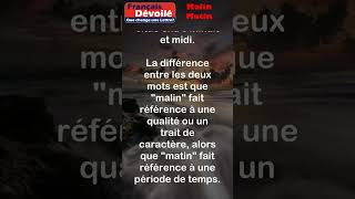 Malin et Matin shorts Une Lettre [upl. by Filmore]