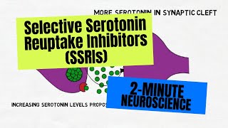 2Minute Neuroscience Selective Serotonin Reuptake Inhibitors SSRIs [upl. by Cristine209]