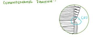 quotCEMENTUM CEMENTOENAMEL JUNCTIONquot CEMENTODENTINAL JUNCTION FOR BDS [upl. by Kalli]