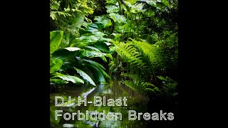 Dj H Blast Forbidden Breaks [upl. by Asennav9]