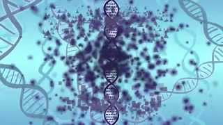 Your DNA the Environment and Epigenetics [upl. by Llemij]