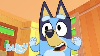 Perro hamburguesa  PEQUEÑAS HISTORIAS DE BLUEY  Bluey Español Canal Oficial [upl. by Faubert]