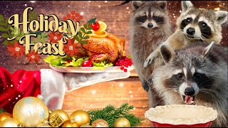 Raccoons Get a Christmas Feast [upl. by Larena]