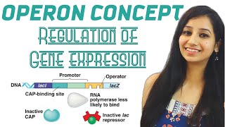 Operon Concept  Regulation of Gene ExpressionMolecular BiologyCSIRNETGATEIITJAMICARICMRDBT [upl. by Coral]