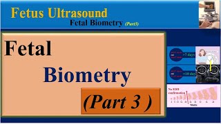 Fetus Ultrasound Fetal Biometry  Part3 [upl. by Sylvester]