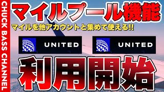 【概要欄に注意事項あり】ユナイテッド航空マイレージプラス✈︎マイルプール機能利用開始へ✈️ [upl. by Arais94]