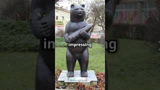 The Incredible Story of Wojtek The War Bear history worldhistory aviation subscribe [upl. by Arnst830]