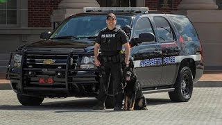 K9 officer injured in Alpharetta police chase recovering after surgery [upl. by Dygall]