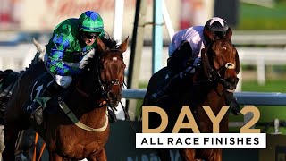 ALL RACE FINISHES FROM DAY TWO OF THE NOVEMBER MEETING AT CHELTENHAM RACECOURSE [upl. by Yrok]