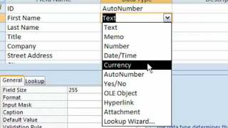 Change Data Types in Access 2007 [upl. by Aicilehp808]