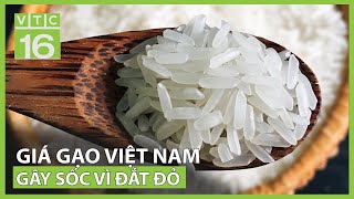 Giá gạo Việt Nam gây sốc về độ đắt đỏ  VTC16 [upl. by Declan]