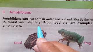 Classification Of Animals In Urdu  Vertebrates And Invertebrates Intro To Fish Reptiles Amphibians [upl. by Anahsahs]