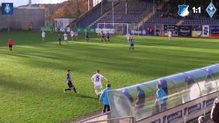 TSG 1899 Hoffenheim II vs SV Waldhof Mannheim 07 [upl. by Wier]