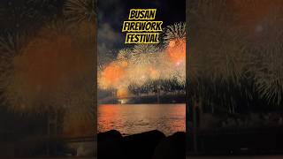 Busan firework festival 2024  busan ytshorts shorts ytviral tranding fireworks viralreels [upl. by Nosremaj]