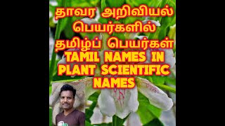 TAMIL NAMES IN PLANT SCIENTIFIC NAMES தாவர அறிவியல் பெயர்களில் தமிழ்ப் பெயர்கள் [upl. by Nayar889]