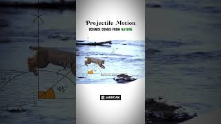 Projectile motion Example Video For Students  Lakshyam Coaching [upl. by Pachston88]