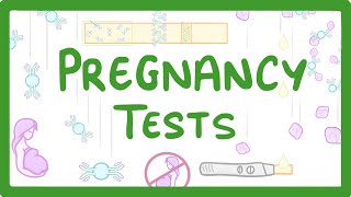 GCSE Biology  How do Pregnancy Tests Work 41 [upl. by Loredo]