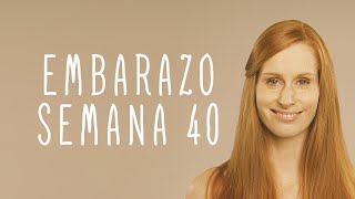 Calendario De Embarazo  Semana 40 [upl. by Gitel]