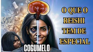 Benefícios do Cogumelo Reishi veja como funciona compostos e efeitos [upl. by Ahsiemat]