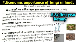 Economic importance of fungi  कवकों के आर्थिक महत्व  BSc first year botany first semester [upl. by Baseler]