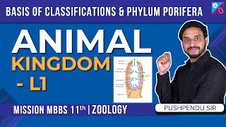 Basis of Classifications amp Phylum Porifera  Animal Kingdom Class 11 Concepts L1  NEET 2024 [upl. by Alaehcim341]