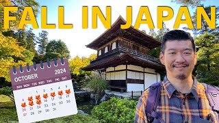 Japan in Fall 2024 Your Autumn Travel Tips [upl. by Pacheco90]