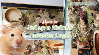 How to Set up a Natural Hamster Cage  Upgrading HAMSTERs German Inspired Enclosure 🐹🍄🌿 [upl. by Nally974]