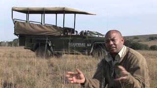 Abel Gouza Ranger at Shamwari Game Reserve [upl. by Tiloine851]