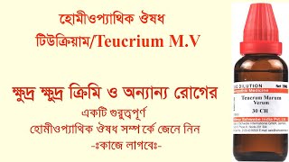 Homeopathic medicine Teucrium marum Verum symtoms and uses [upl. by Tome]