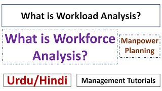 What is Workload Analysis What is Workforce Analysis Explanation with ExamplesUrduHindi [upl. by Punke165]