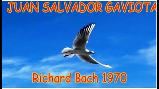 JUAN SALVADOR GAVIOTA Audiolibro [upl. by Marchall216]