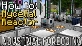 How to Industrial Foregoing  Mycelial Reactor Minecraft 1201 [upl. by Earahc19]