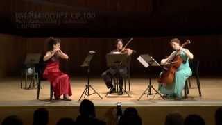 Joseph Haydn  Divertimento N°2 Op100 para Flauta Violín y Violoncello [upl. by Ileana]