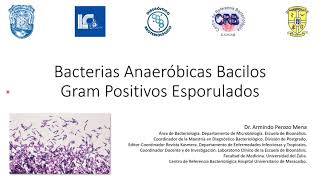 Bacterias Anaeróbicas BGP Esporulados [upl. by Hakceber]