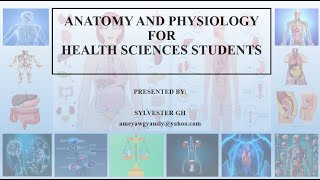 ANATOMICAL POSITION ANATOMICAL PLANES DIRECTIONAL TERMS IN ANATOMY ABDOMINAL QUADRANTS amp REGIONS [upl. by Goodspeed902]