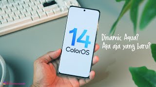 AQUA DINAMICS FITUR APA AJA YANG BARU DI COLOROS 14 ANDROID 14 [upl. by Brandie943]