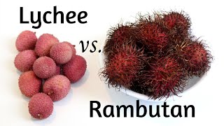 Lychee vs Rambutan Tropical Fruit [upl. by Lajet]