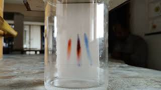 Chromatography Technique Timelapse [upl. by Aserej]