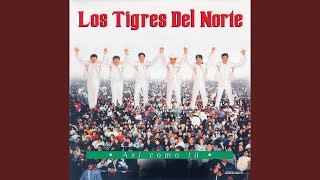 Los Tigres del Norte  El Rengo del Gallo Giro LIVE [upl. by Annawd695]