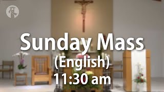 KMCC Sunday Mass 10132024 1130am English [upl. by Rachael]