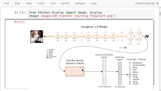 TensorFlow Tutorial 08 Transfer Learning [upl. by Pillihpnhoj]